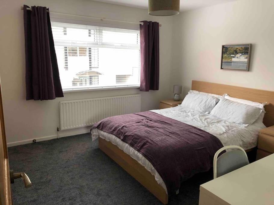 Revamped Holywood Town Centre House Apartman Kültér fotó